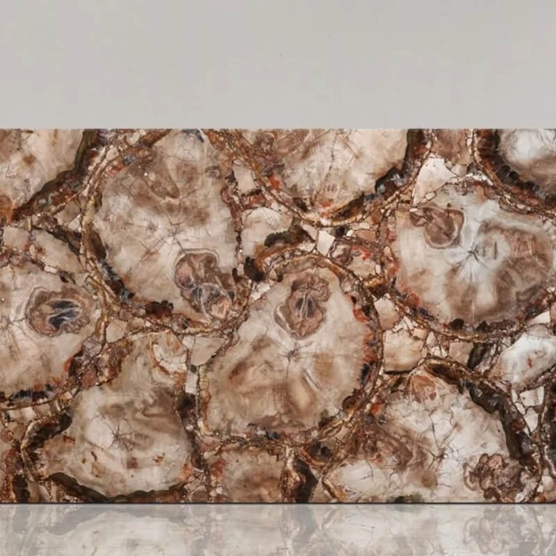Beige Petrified Wood