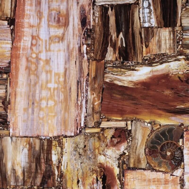 Brown Petrified Wood Retro