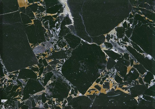 雅典黑金花--Athen Black&Gold