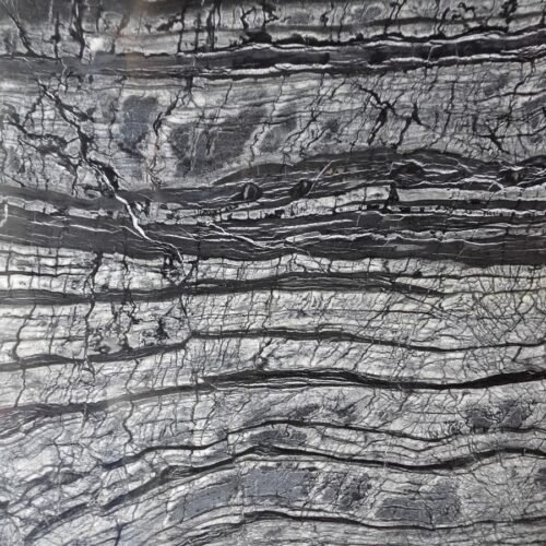 Zebra Black Marble