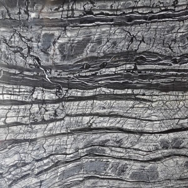 Zebra Black Marble