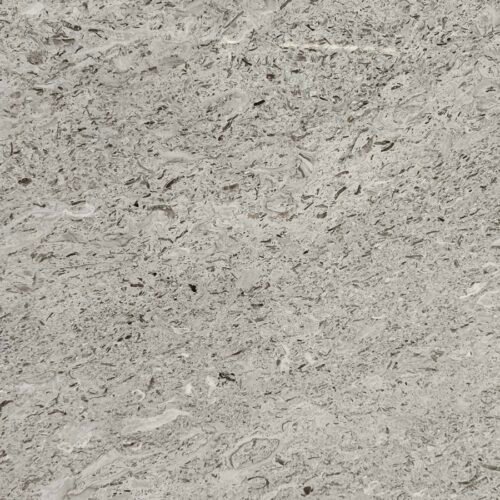 Aurisina Granitello Limestone