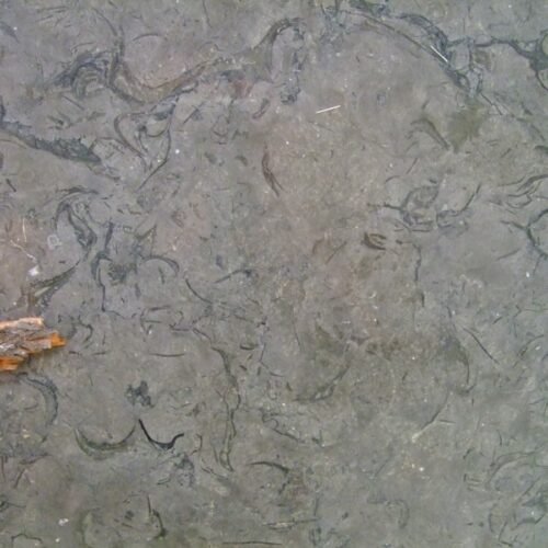 Jordan Gray Marble