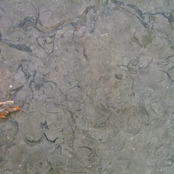 Jordan Gray Marble