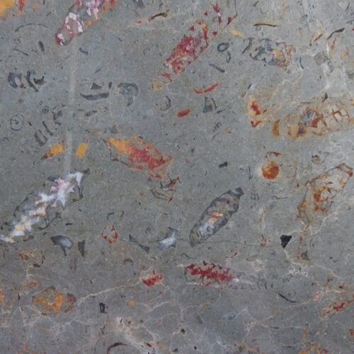 Silver Grey Shell Marble