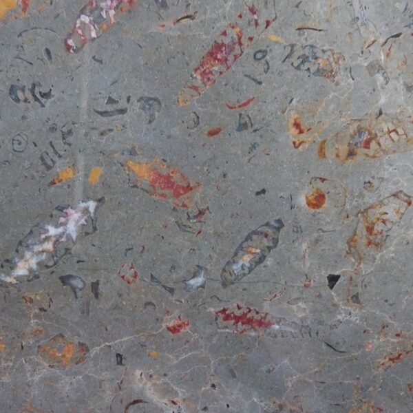 Silver Grey Shell Marble