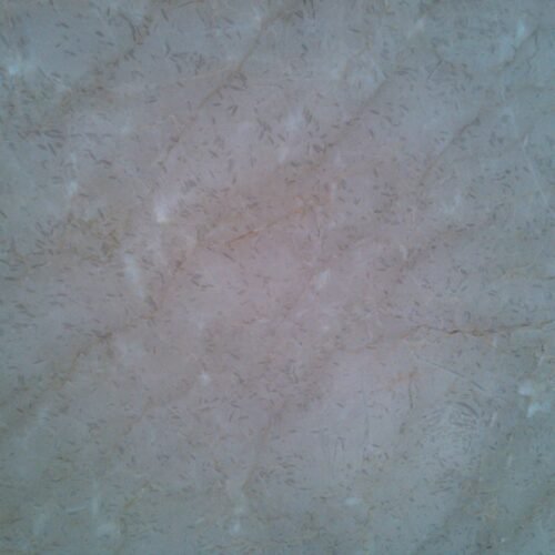 Edinburgh Beige Marble