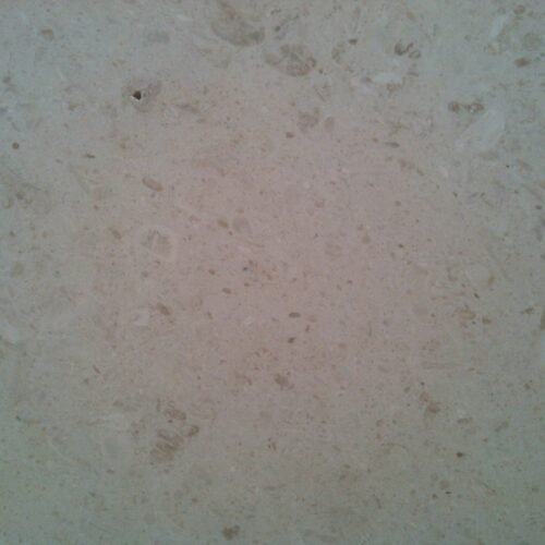 White Mushroom Marble