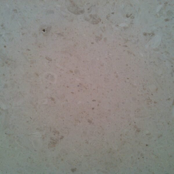 White Mushroom Marble