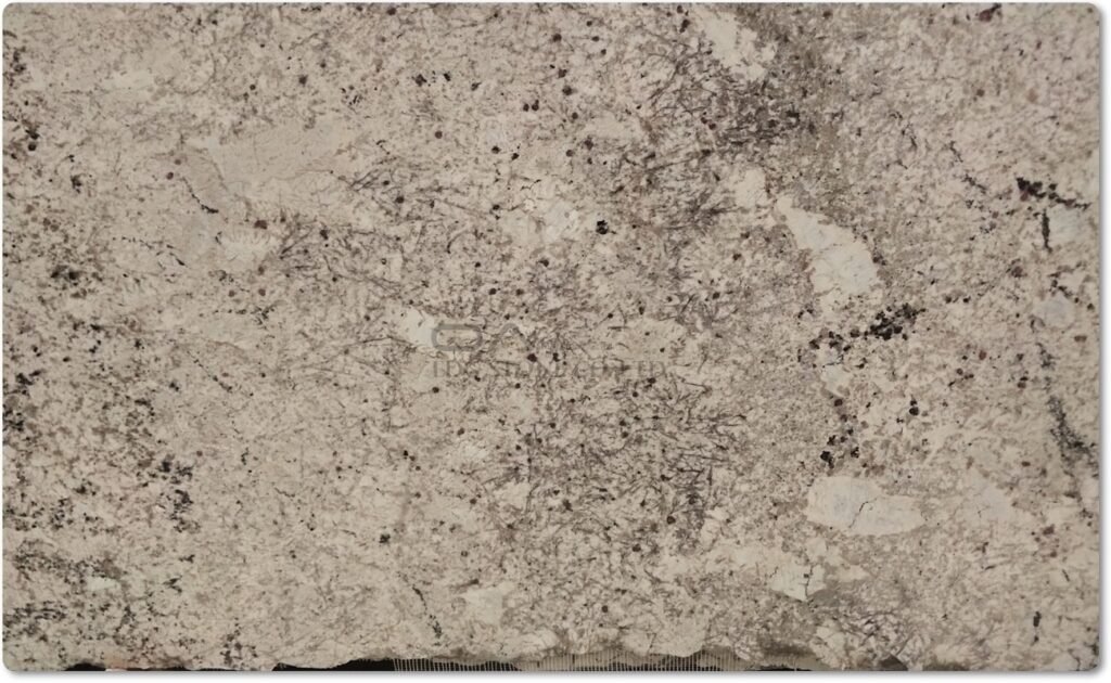 White Granite Slabs Export