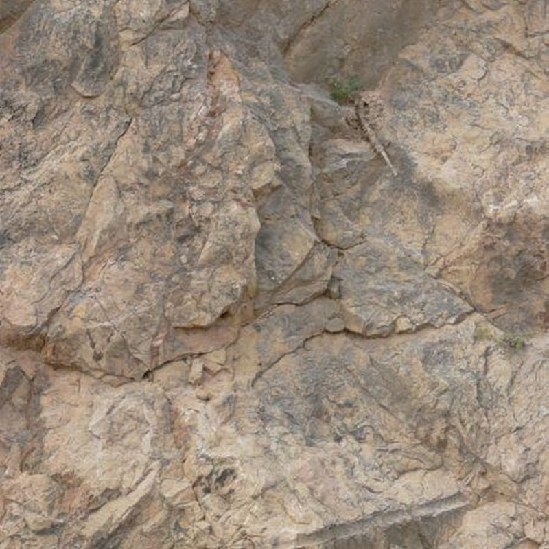 coronado stone products