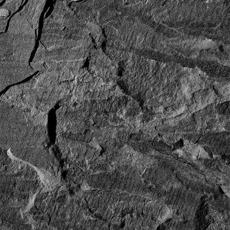 stone veneer cultured
